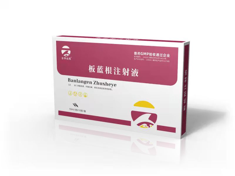 板蓝根注射液.jpg