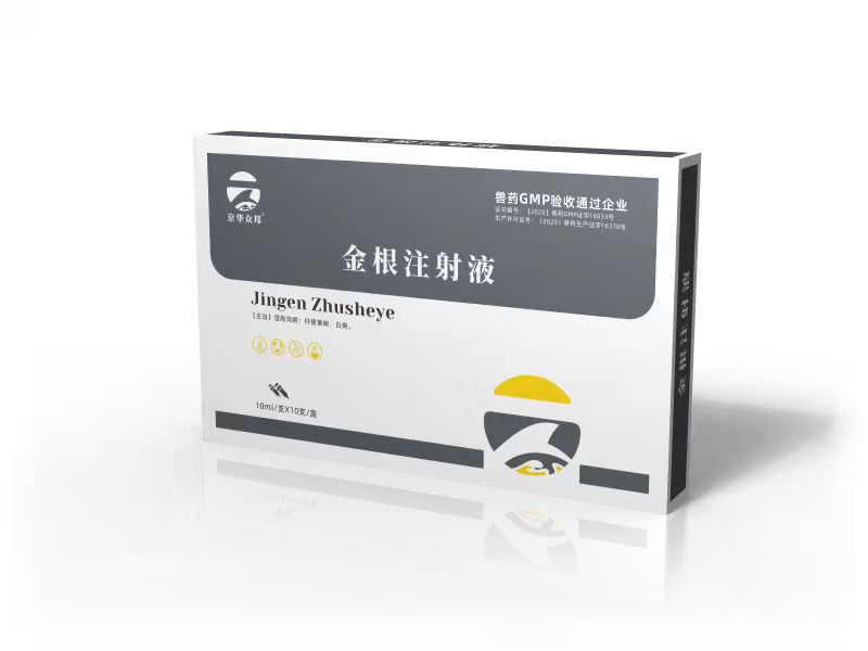 金根注射液.jpg